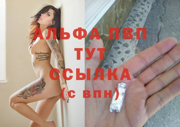 PSILOCYBIN Абаза
