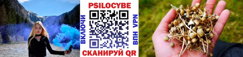 Псилоцибиновые грибы Psilocybine cubensis  Нолинск 